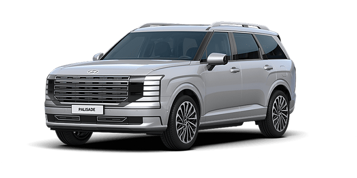 현대 디 올 뉴 팰리세이드